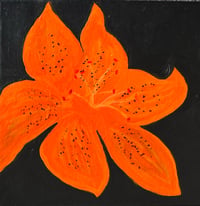 Image 4 of Tiger Lily 