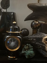 Image 1 of Large Black And Gold URN with Real Preserved Web