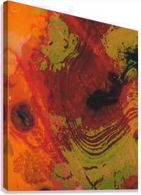 Image 3 of Conception #1  
