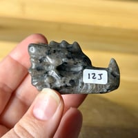 Image 6 of Dragon Heads ($12)
