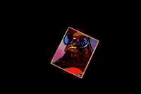 Image 2 of Disco Chicken!