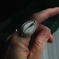 Image 2 of Cowrie Shell Ring 