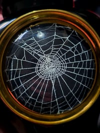 Image 5 of Black And Gold URN with Real Preserved Web - Black 1