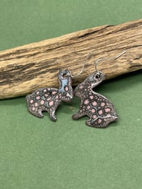 Image 3 of Speckled Bunnies
