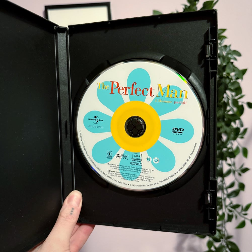 Image of The Perfect Man DVD