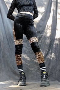 Image 1 of RAYA leggings,  leopard velour