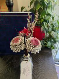 Image 2 of Zinnia Burst