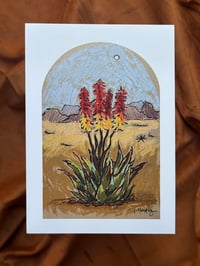 Blooming Aloe- Print 