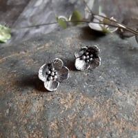 Image 3 of Wallflower Studs