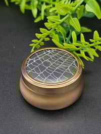 Image 2 of Mini Vintage decorative Jar with  Real Preserved Web