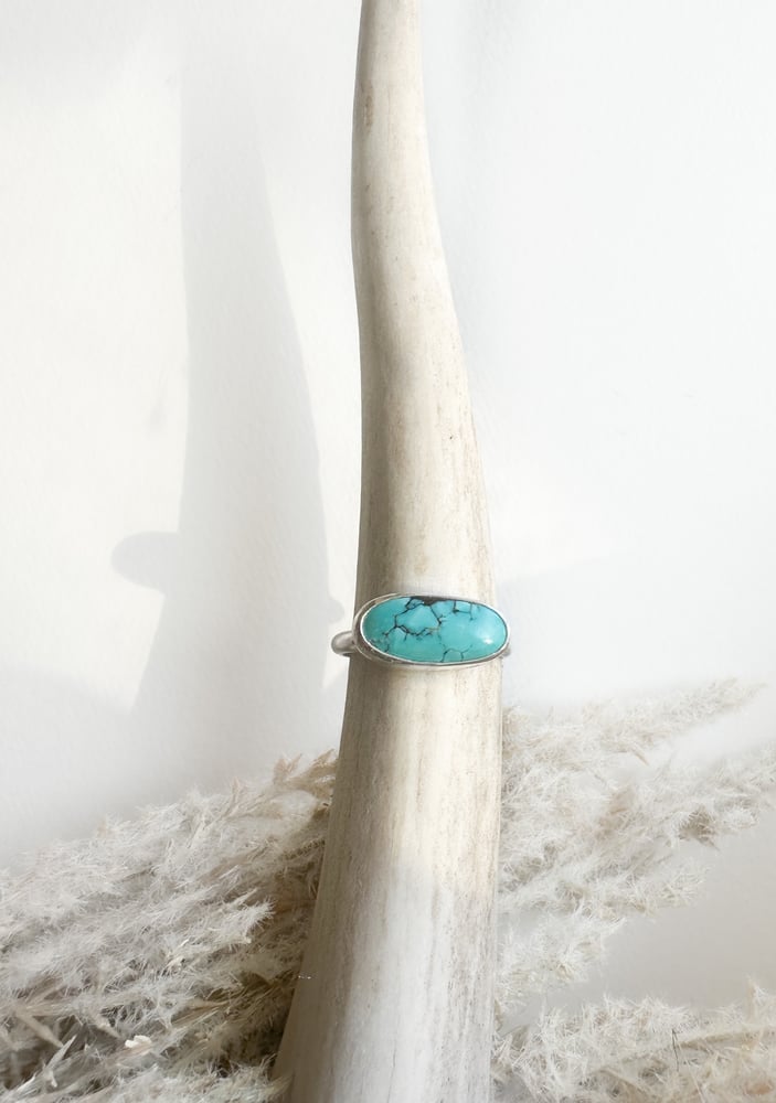 Image of Turquoise Oval 8