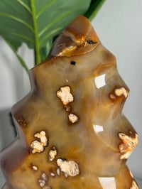 Image 2 of XXL MOODY CARNELIAN FLAME -MADAGASCAR-