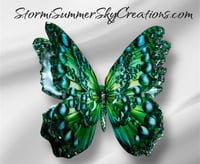 Large Green Butterfly