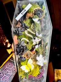Image 1 of Snake Coffin Terrarium