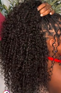 Image 1 of Double Drawn Burmese Italy Curl