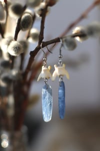 Image 3 of Orecchini Vertebre di mustelide e Kyanite