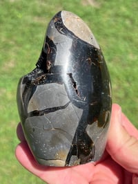 Image 5 of Septarian Nodule Polished Freeform With Calcite Inclusions| Madagascar #2894