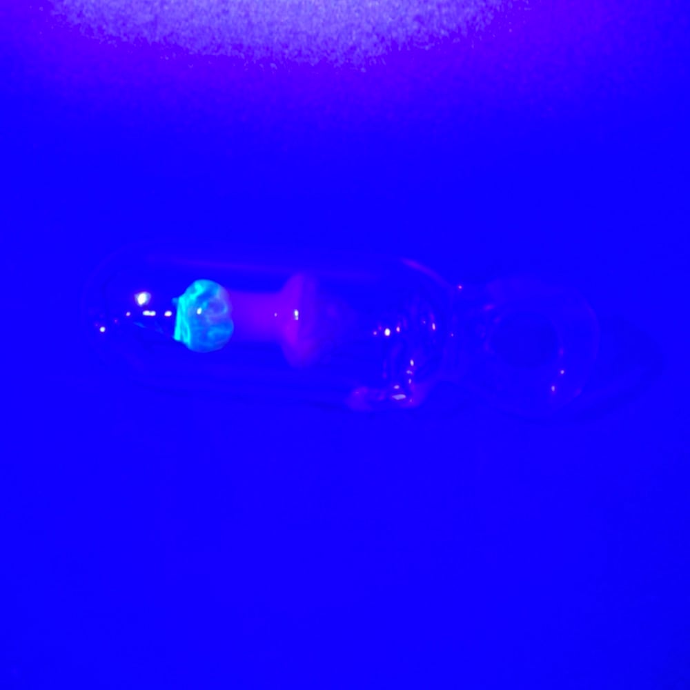 Image of Mushroom Micro Encapsulations