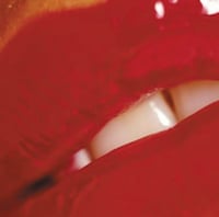 Image 2 of The Sons of Montana “Songs To Seduce Your Future Ex” CD