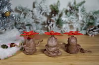 Image 4 of Poinsettia Mandrakes