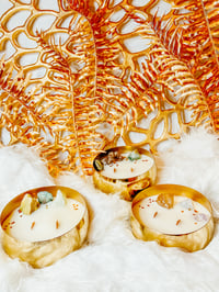 Image 2 of CALICE VESSELS (Skin Safe)