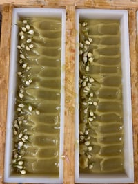 Image 2 of Botanical Balance