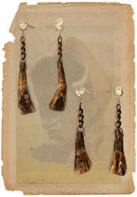 Image 1 of YANASH Earrings 