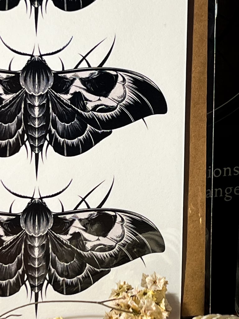 CARTE POSTALE « DEATH MOTH » 💀 Image 3