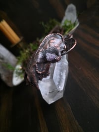 Image 4 of Mink Skull with Amethyst