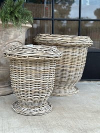 Image 2 of Parterre Basket