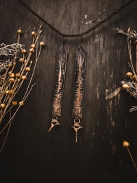 Image 1 of Tall Trees