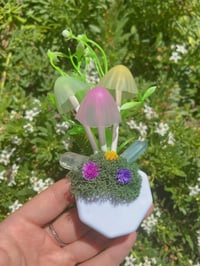 Image 4 of Mush Nightlight 🧚🏻✨