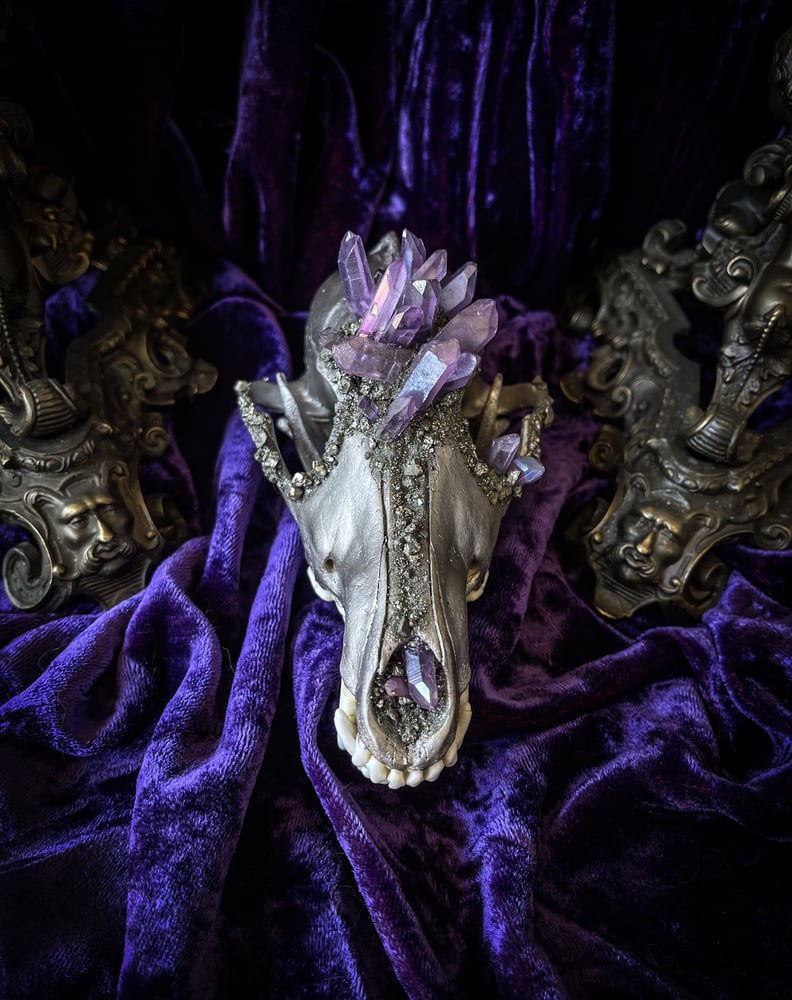 Image of Lavender Aura Quartz - Coyote Slull