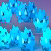 Image 4 of Winter Tempest Sparks 2026