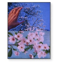 Image 5 of SPRING NIGHT IV