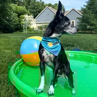 Image 2 of Cooling Bandana