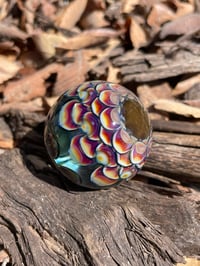 Image 13 of Amber Purple Jungle