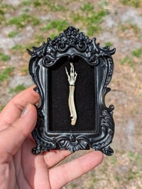 Framed Rat Hand