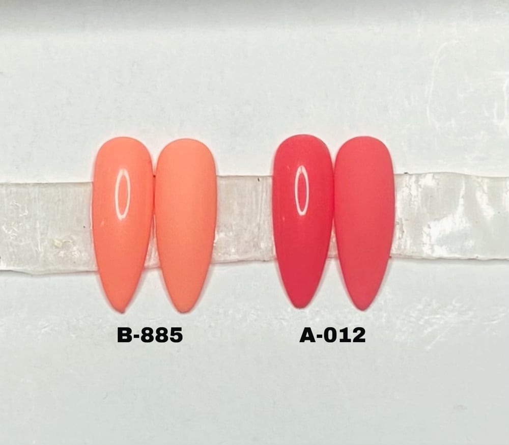 Image of Basic 9