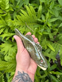 Image 2 of Red Eye Bass