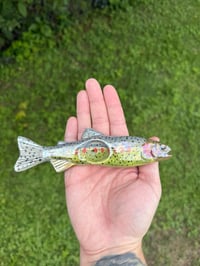 Image 4 of Pre order Cutthroat Trout 