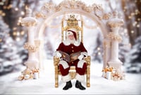 Image 1 of 11.17.24 (Family); 12.20.24 (Santa & Family): Gold Sparkle Arch