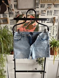 Image 1 of Fashion Nova shorts 