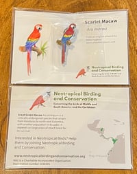 Image 1 of Scarlet Macaw Pin Badge - Macaws - Neotropical Birding and Conservation