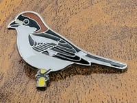 Image 2 of Woodchat Shrike - No.145 - UK Birding Pins