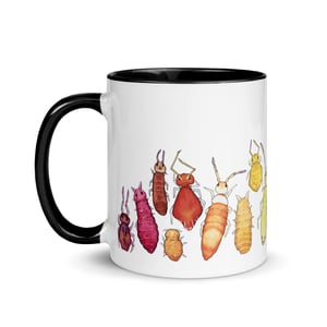 Collembola color wheel mug
