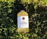 Image 1 of Shampoo