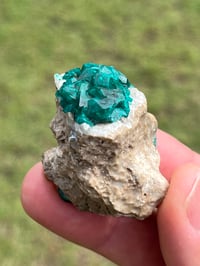 Image 12 of Dioptase Specimen | Congo #3011