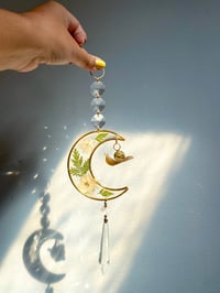 Image 2 of 🌛🐌LunaSnail Suncatcher🐌🌜