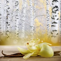 Image 1 of Vanilla Woods